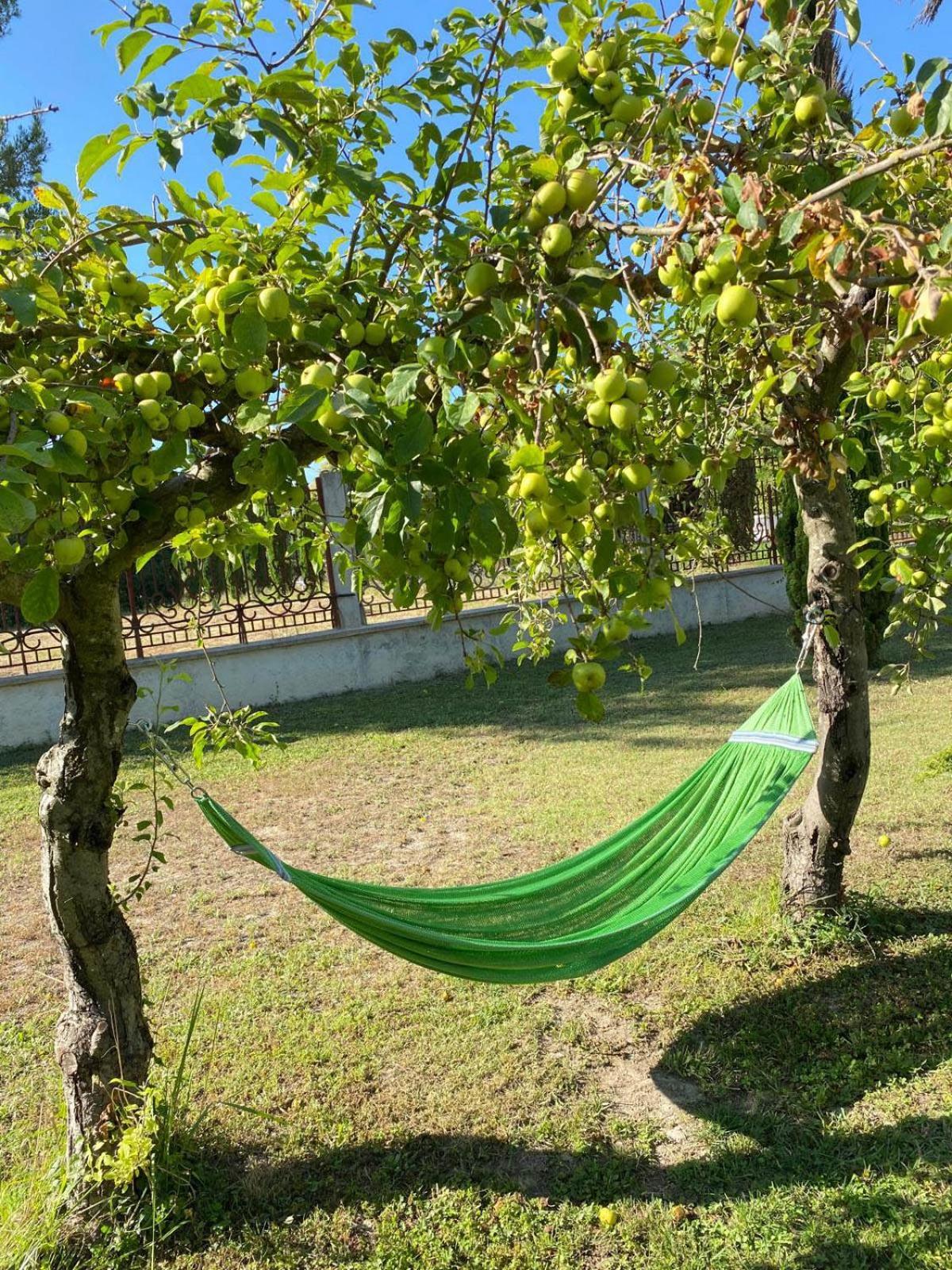 Maison D'Hotes, Superbe Et Spacieuse ,Dans Un Cadre Charmant Calme Et Verdoyant Pernes-les-Fontaines Dış mekan fotoğraf